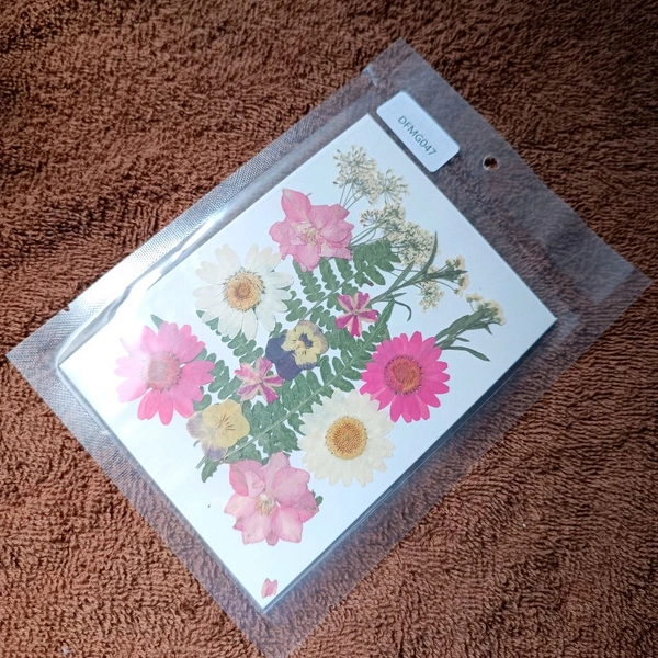 Dry Pressed Flower 