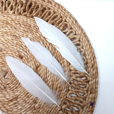 Feather