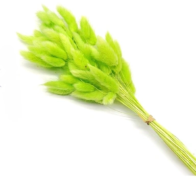 Dry Flowers