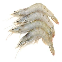 Prawns Jumbo 500 Grams