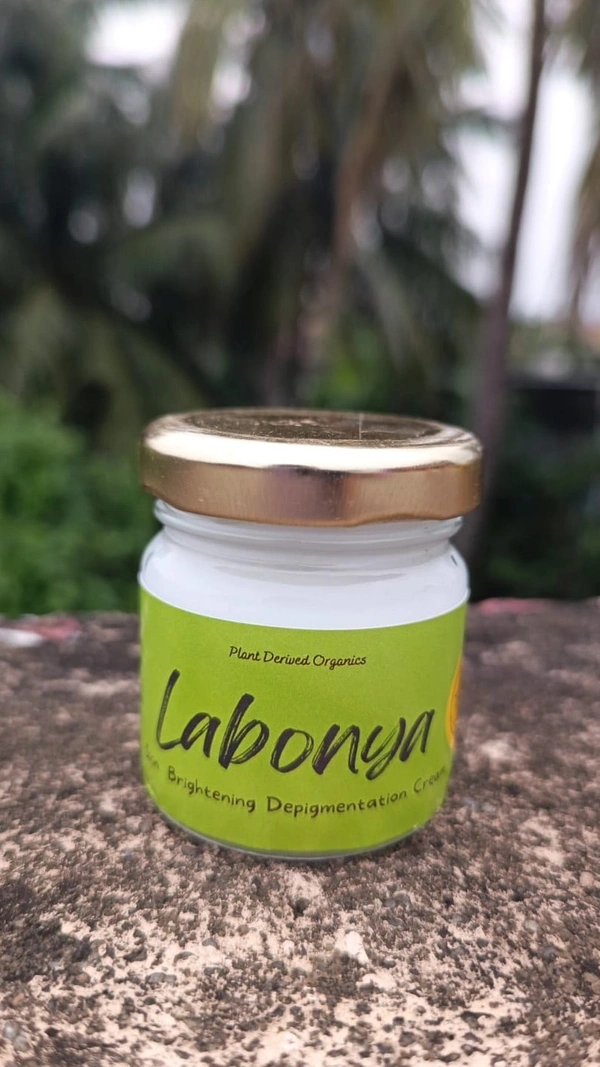 Labonya Night Cream For Pigmentation, Suntan , Sunspot 