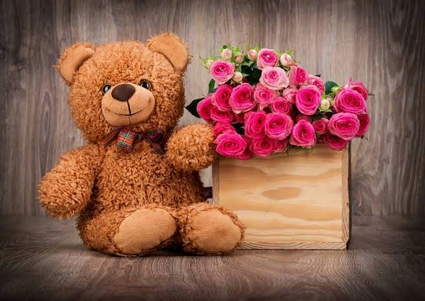 TEDDY BEAR - 