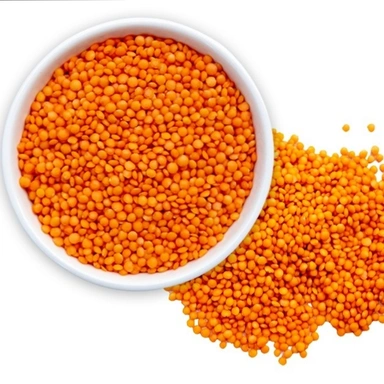 Dal