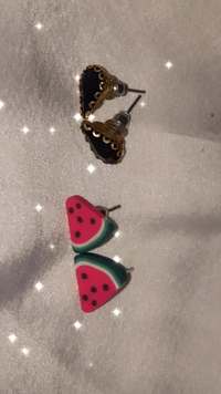 Studd Earrings Combo - black and 🍉 