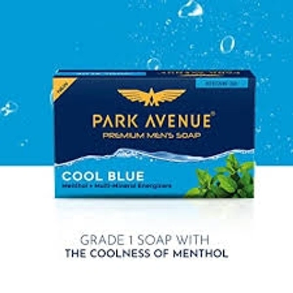 PARK AVENUE COOL BLUE - 500gm