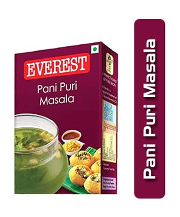 EVEREST Pani Puri Masala - 50gm