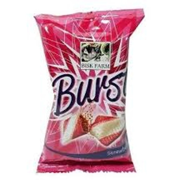 BISK FARM Burst - 20g
