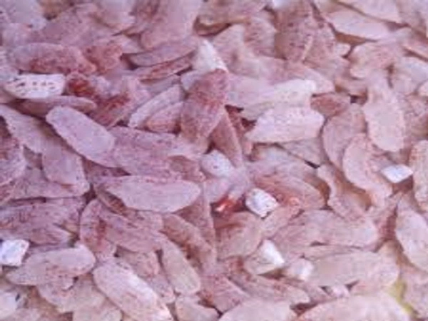 RED CHUDA  - 1kg