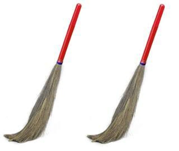 PHUL JHADU Buy 1Get 1Free - 1N