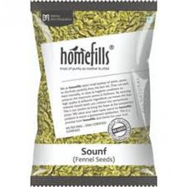 Homefills sounf fennel seeds - 100gm