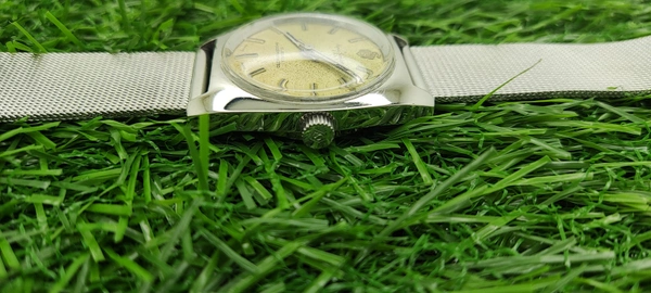 Henri Sandoz&Fils 17 Jewels Shockprotected