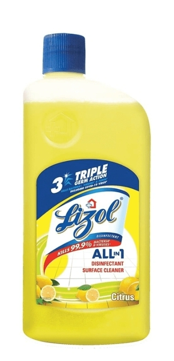Lizal Citrus 500ml