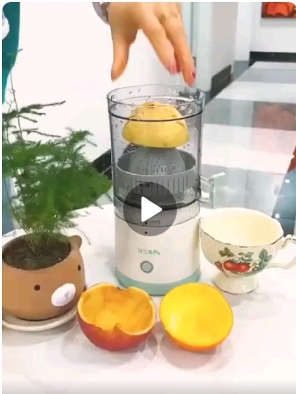 Press Fruit Juicer