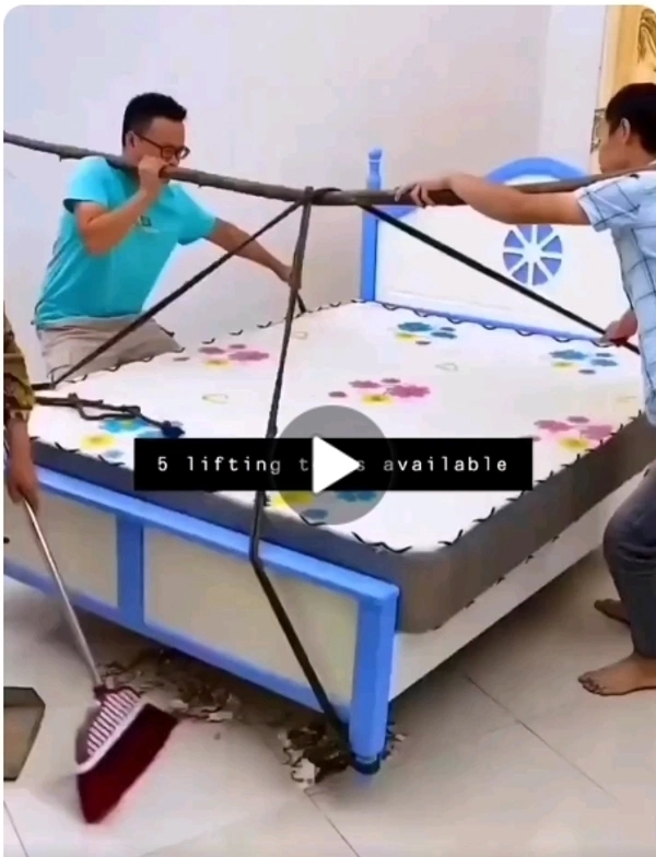 Lifter Mover 4 In 1 Handle