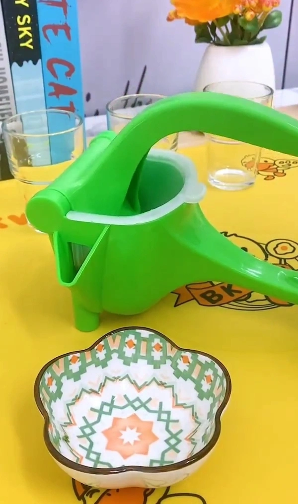 Fruit Press Juicer