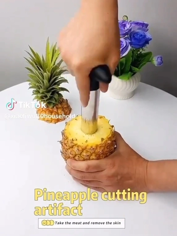 Pineapple Cutter