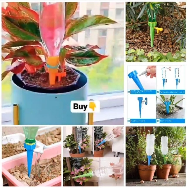 Auto Water Plant ( Set Of 3 )