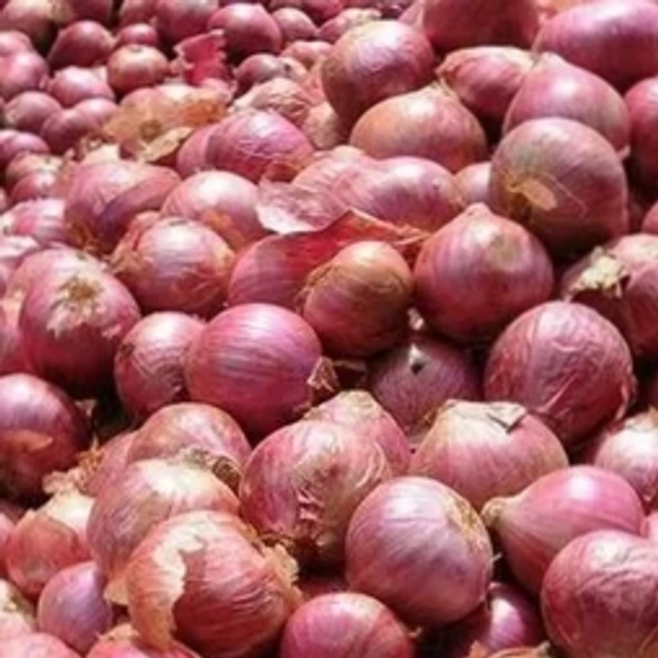 Onion ( प्याज)