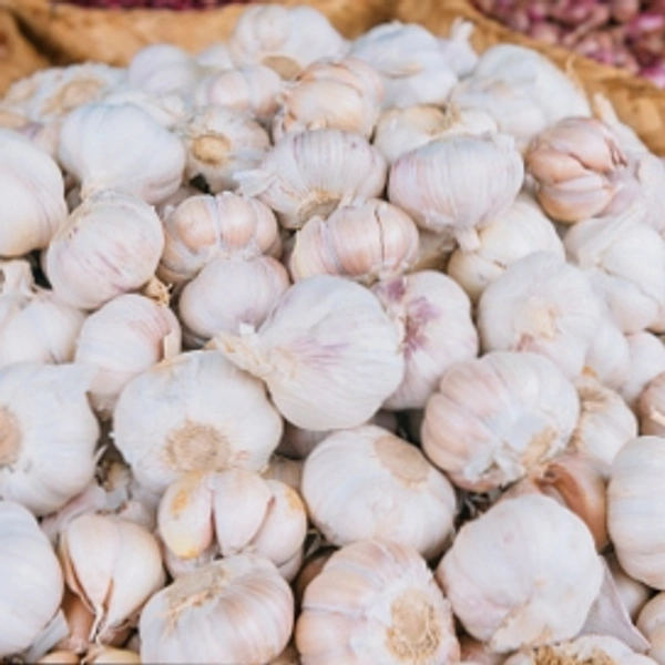Garlic (लहसुन)