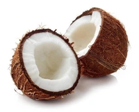   Coconut नारियल