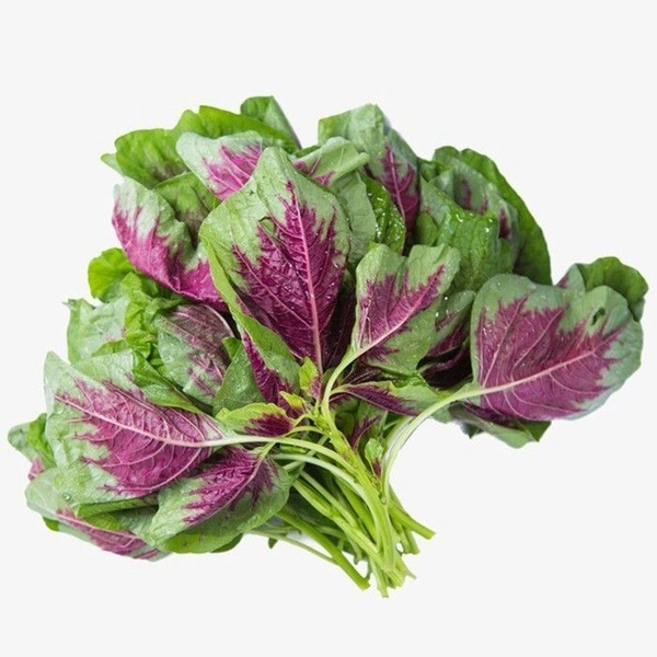 Red Sag 2 Pic
