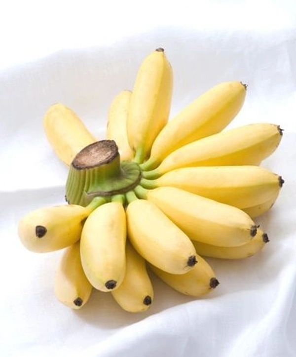 Banana 12 Pic Smoll