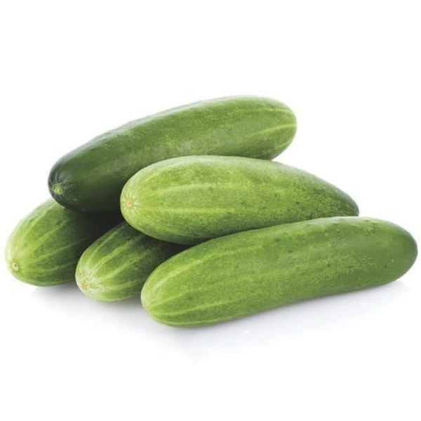 Khira खीरा 1kg