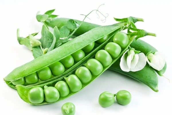 Matar Hibrid 1kg