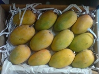 Mango 1kg