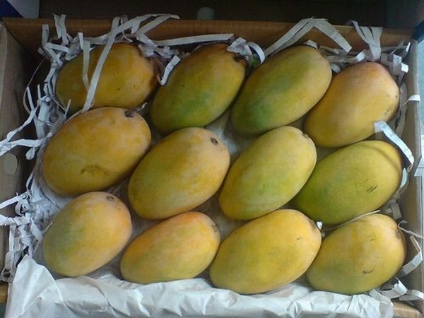 Mango 1kg