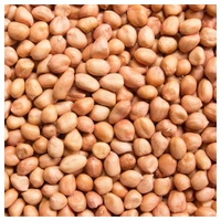  Raw Peanuts (बादाम) 500 g
