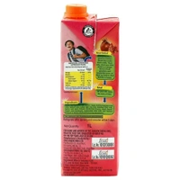 Real Fruit Power Masala Pomegranate Juice 1 L