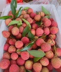 Lichi 1kg 