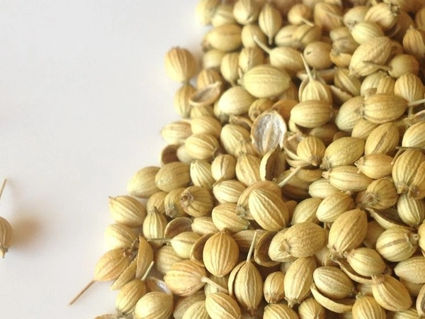 Dhaniya 100g
