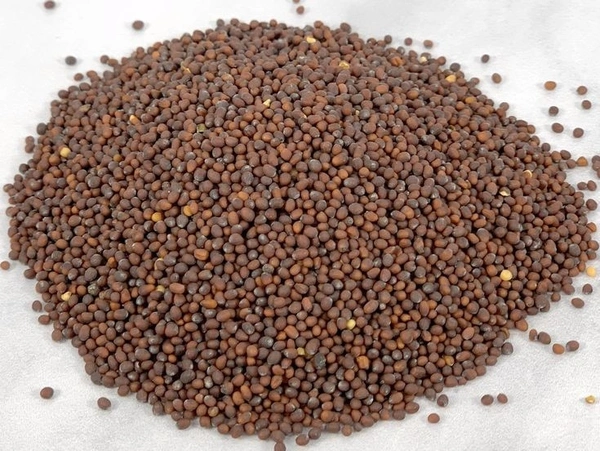 Sarso Rai 100g