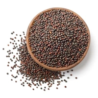 Sarso Rai 100g