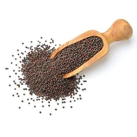 Sarso Rai 100g