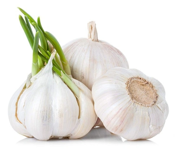 Lahsun Best Quality 500g