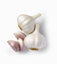 Lahsun Best Quality 500g
