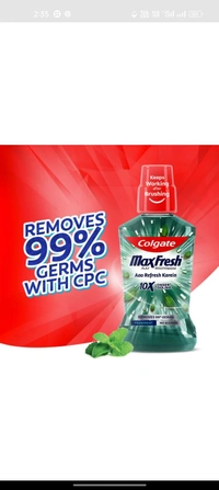 Colgate MaxFresh Plax Antibacterial Mouthwash -Fresh Mint (250 ml)