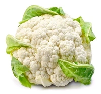 Cauliflower फूलगोभी 1 Pic B