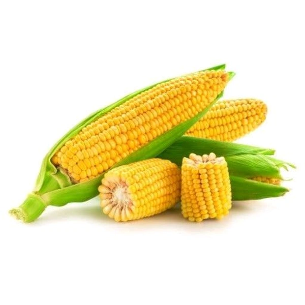 मक्का Makka 500g