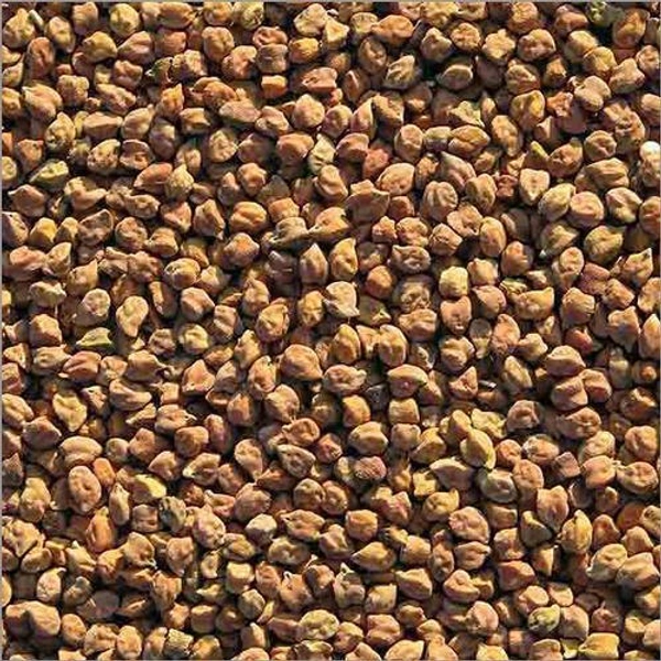 CHANA | चना - 500gm { Best Quality}