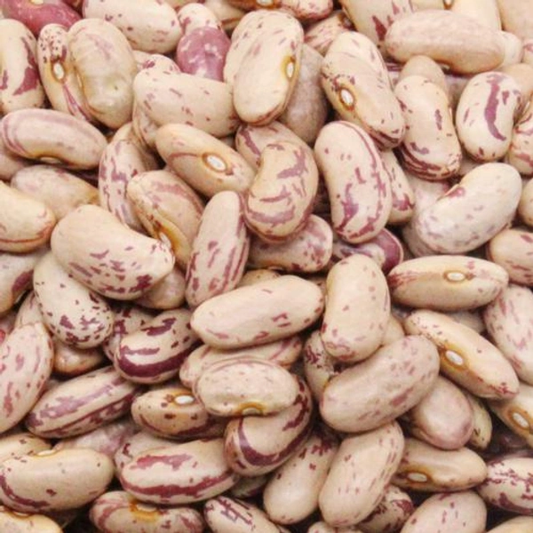 PREMIUM WHITE RAJMA |सफेद राजमा - 500gm