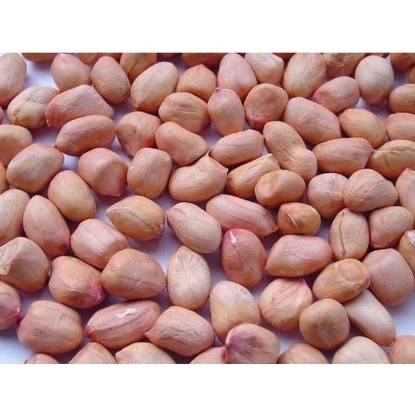 Best Quality  Mungfali | PEANUTS SEED - 500gm{Premium}