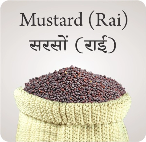 SHREE BALAJI SPICES  Rai Seed | राई बीज - 35g
