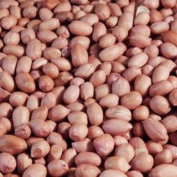 Premium Quality  Mungfali | PEANUTS SEED - 1kg