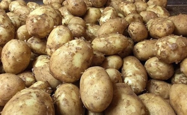 Naya Potato - 1k