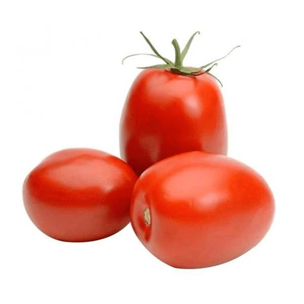 Hybrid Tomato - 1k