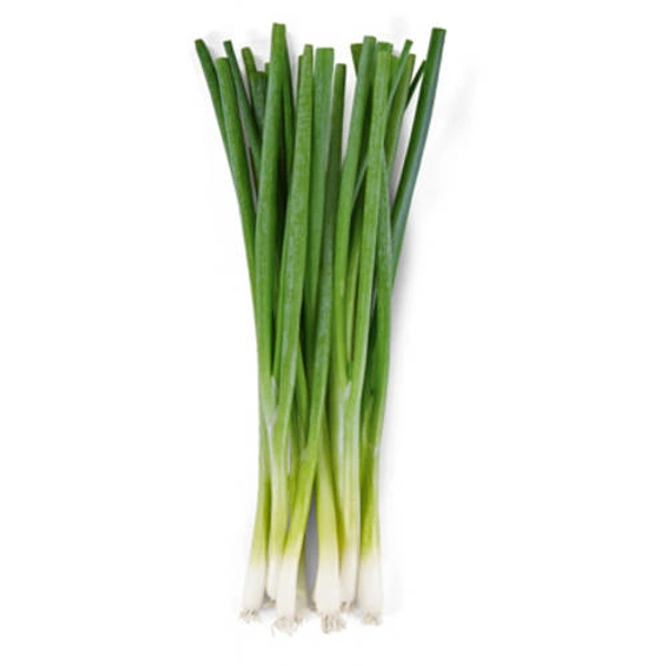 Spring Onion - 500g